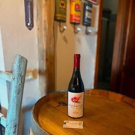 Appartamento Vicino Ad Assisi In Un Borgo Cuore Dell'Umbria *